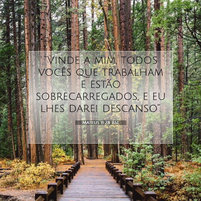 Mateus 11:28 Comentário Bíblico