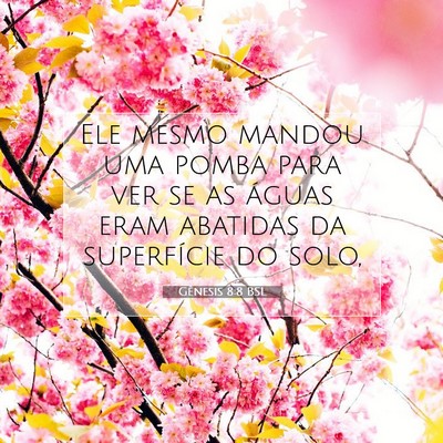 Gênesis 8:8 Versículo Bíblico Explicado