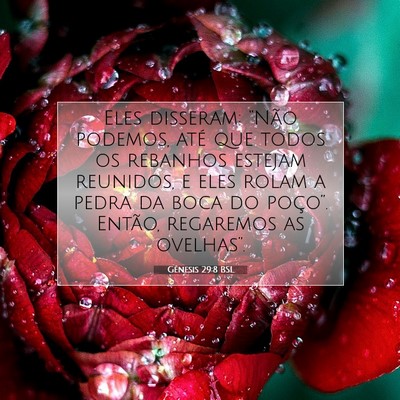 Gênesis 29:8 Versículo Bíblico Explicado