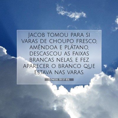 Gênesis 30:37 Versículo Bíblico Explicado