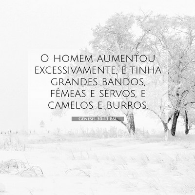 Gênesis 30:43 Versículo Bíblico Explicado