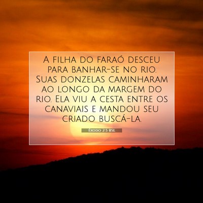 Êxodo 2:5 Versículo Bíblico Explicado