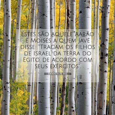 Êxodo 6:26 Versículo Bíblico Explicado