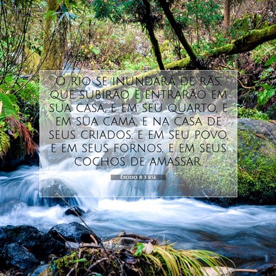 Êxodo 8:3 BSL Imagem do Versículo Bíblico