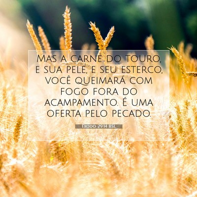 Êxodo 29:14 BSL Imagem do Versículo Bíblico