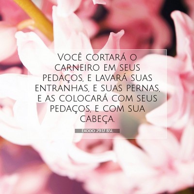 Êxodo 29:17 BSL Imagem do Versículo Bíblico