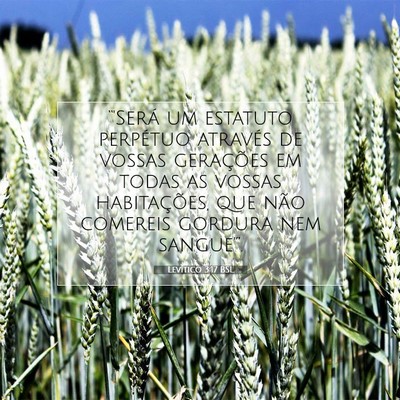 Levítico 3:17 Versículo Bíblico Explicado