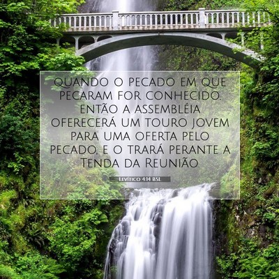 Levítico 4:14 Versículo Bíblico Explicado