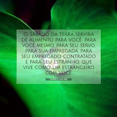 Levítico 25:6 Versículo Bíblico Explicado
