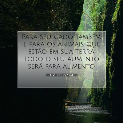 Levítico 25:7 Versículo Bíblico Explicado