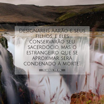 Números 3:10 Versículo Bíblico Explicado