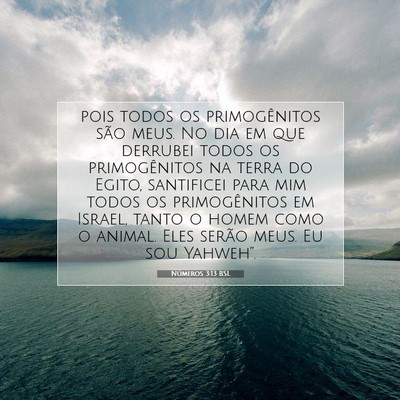 Números 3:13 Versículo Bíblico Explicado