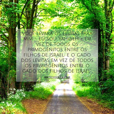 Números 3:41 Versículo Bíblico Explicado
