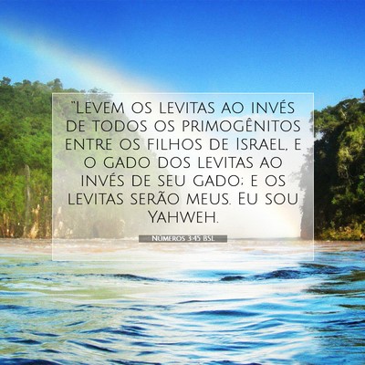 Números 3:45 Versículo Bíblico Explicado
