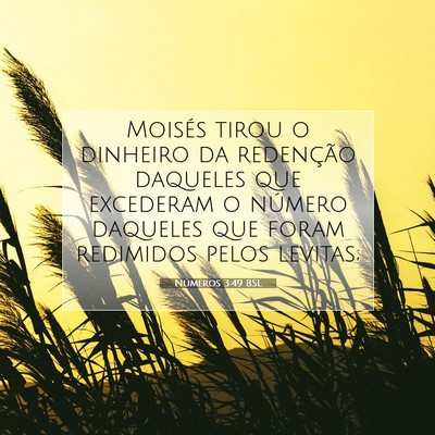Números 3:49 Versículo Bíblico Explicado