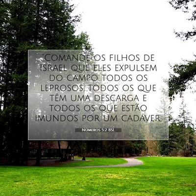 Números 5:2 Versículo Bíblico Explicado