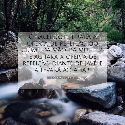 Números 5:25 Versículo Bíblico Explicado