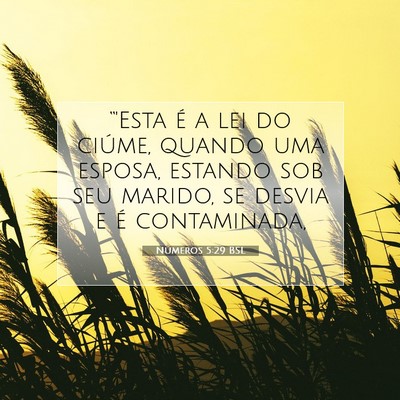 Números 5:29 Versículo Bíblico Explicado
