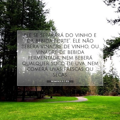 Números 6:3 Versículo Bíblico Explicado