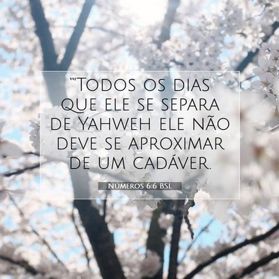 Números 6:6 Versículo Bíblico Explicado