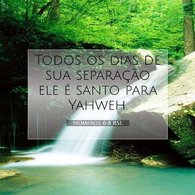 Números 6:8 Versículo Bíblico Explicado