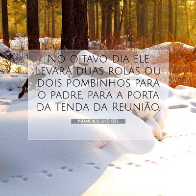Números 6:10 Versículo Bíblico Explicado