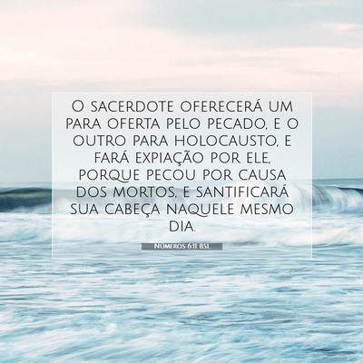 Números 6:11 Versículo Bíblico Explicado