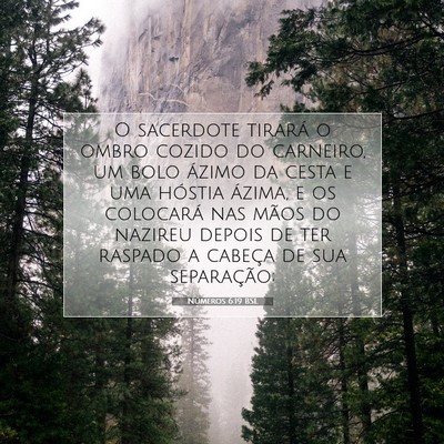 Números 6:19 Versículo Bíblico Explicado
