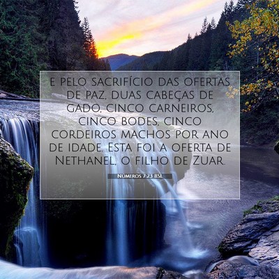 Números 7:23 Versículo Bíblico Explicado