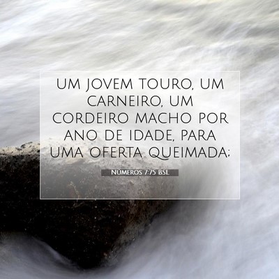 Números 7:75 Versículo Bíblico Explicado