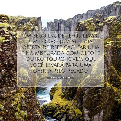 Números 8:8 Versículo Bíblico Explicado