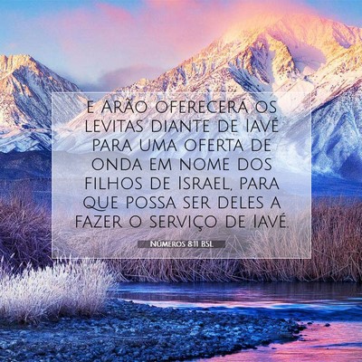 Números 8:11 Versículo Bíblico Explicado