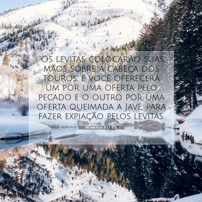Números 8:12 Versículo Bíblico Explicado