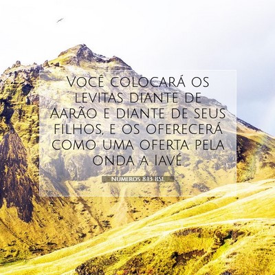 Números 8:13 Versículo Bíblico Explicado