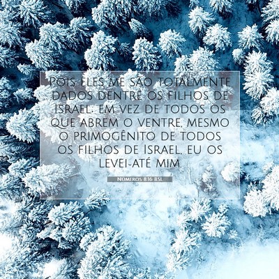 Números 8:16 Versículo Bíblico Explicado