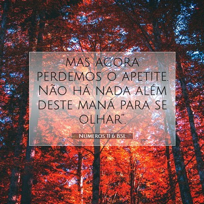 Números 11:6 Versículo Bíblico Explicado