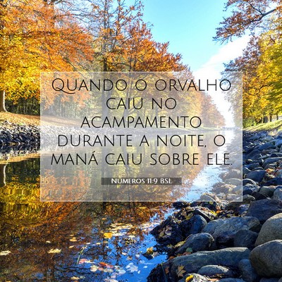 Números 11:9 Versículo Bíblico Explicado