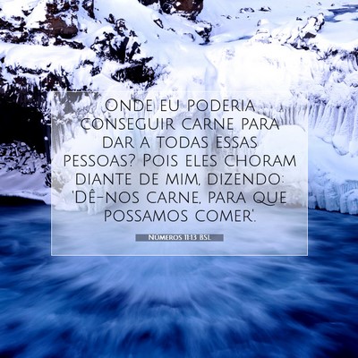 Números 11:13 Versículo Bíblico Explicado