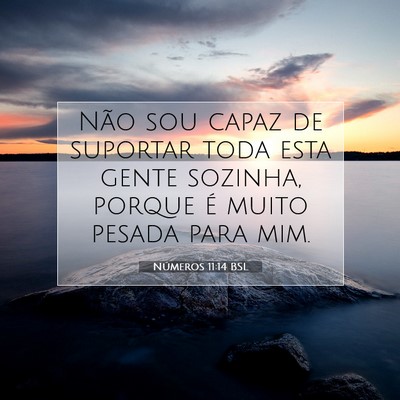Números 11:14 Versículo Bíblico Explicado