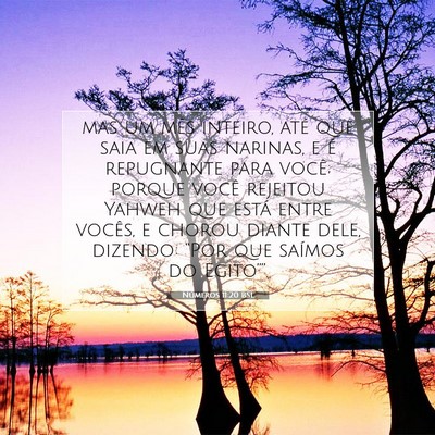 Números 11:20 Versículo Bíblico Explicado