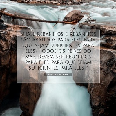 Números 11:22 Versículo Bíblico Explicado