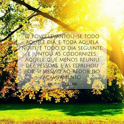 Números 11:32 Versículo Bíblico Explicado