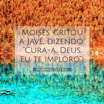 Números 12:13 Versículo Bíblico Explicado