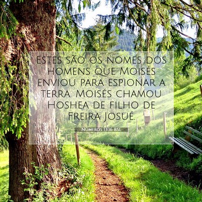 Números 13:16 BSL Imagem do Versículo Bíblico