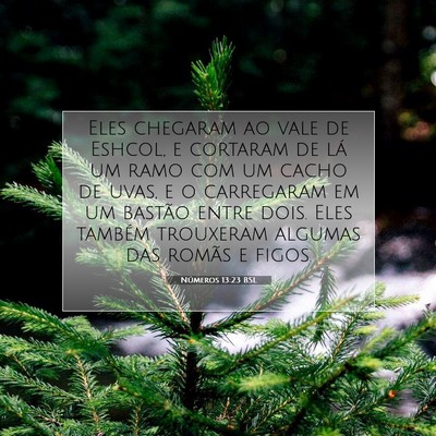 Números 13:23 Versículo Bíblico Explicado