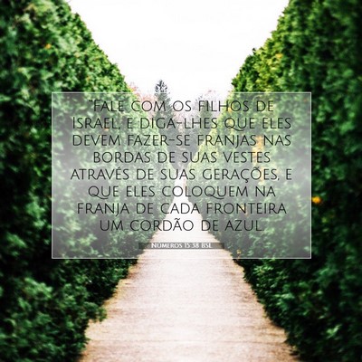 Números 15:38 Versículo Bíblico Explicado