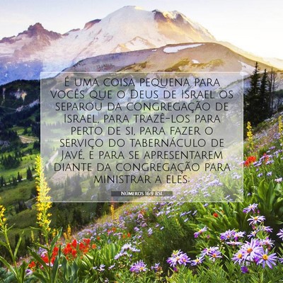 Números 16:9 Versículo Bíblico Explicado