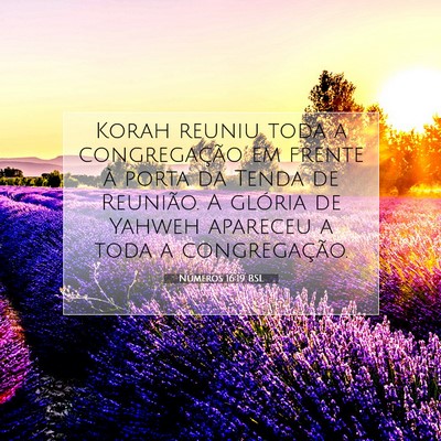 Números 16:19 Versículo Bíblico Explicado