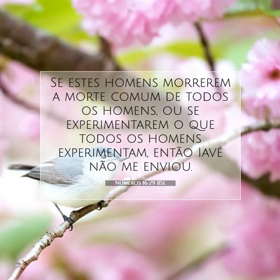 Números 16:29 Versículo Bíblico Explicado