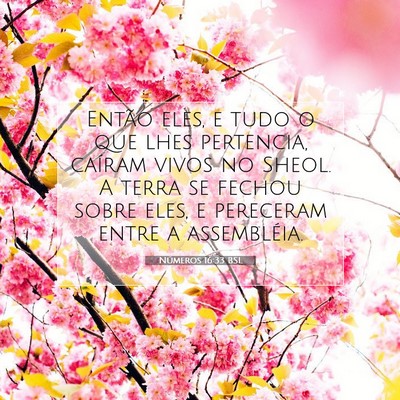 Números 16:33 Versículo Bíblico Explicado